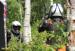bagna-2012-final-konkurs-korolevi-bagni_57705052173765758743 - www.bagna.su