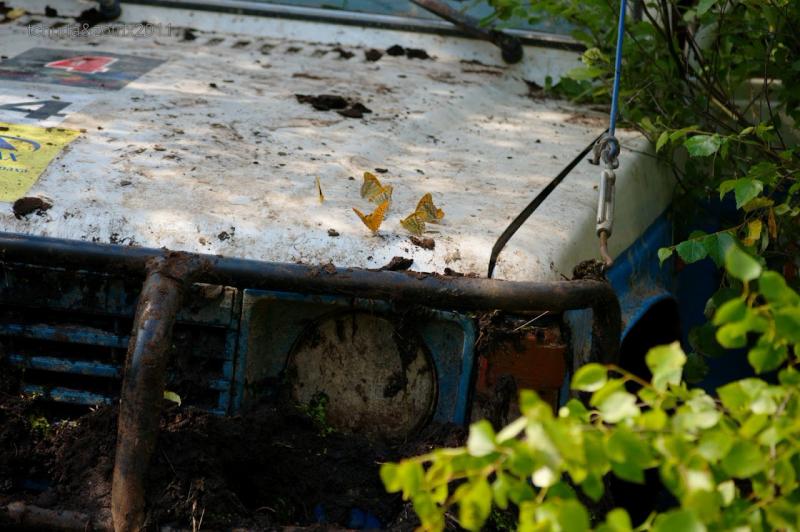 bagna-2011-tchuda_56793091813204684985 - www.bagna.su