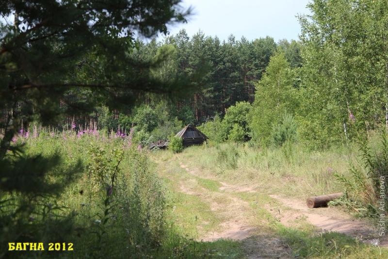 bagna-2012-final-konkurs-korolevi-bagni_57705059337332689629 - www.bagna.su